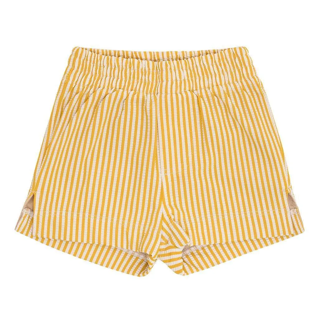 Canary Stripe Mini Swim Trunk