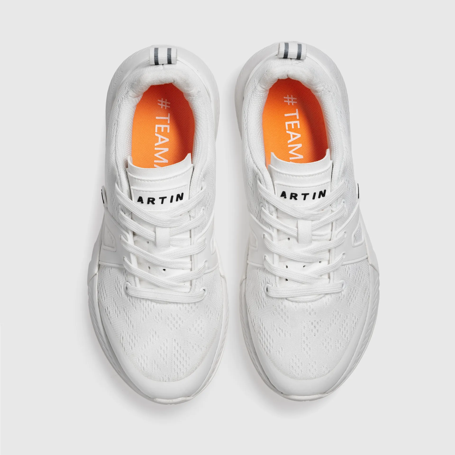Mesh Trainer 3