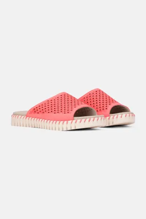 Sandalen - Raspberry