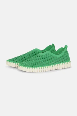 Tulip Skor - Fern Green