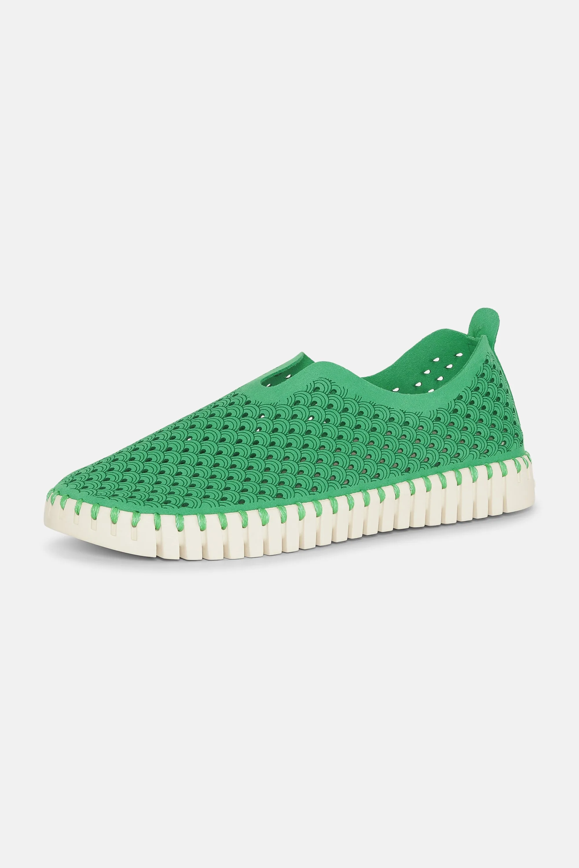 Tulip Skor - Fern Green