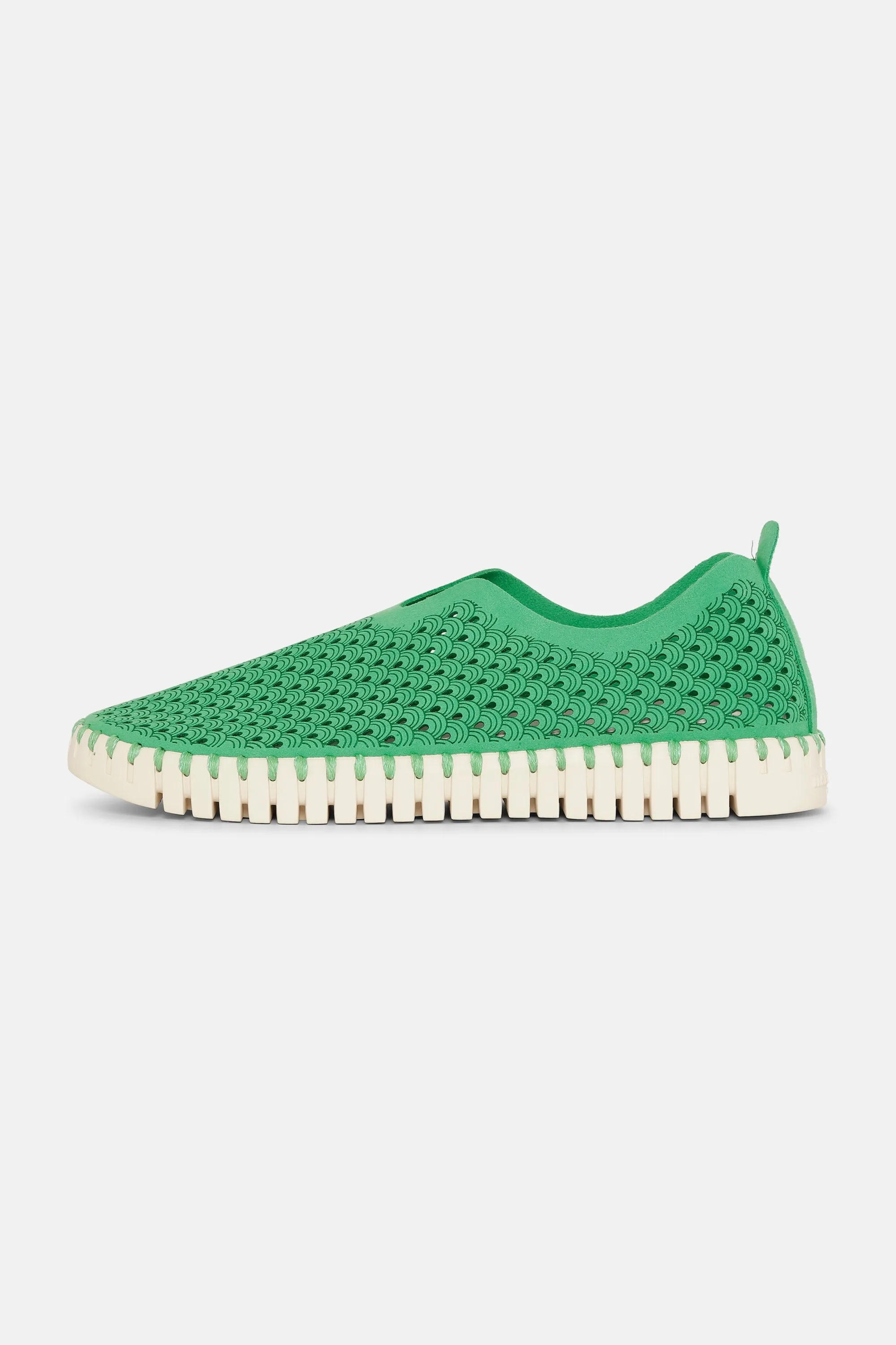 Tulip Skor - Fern Green